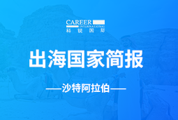 伟德国际1946GO GLOBAL | 沙特阿拉伯国家简报