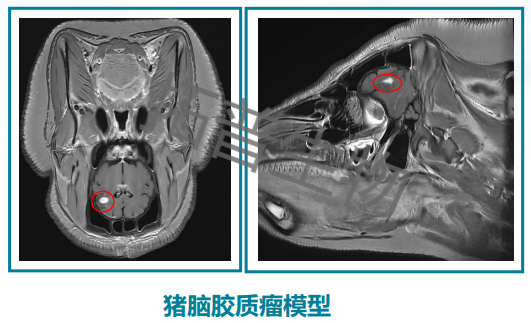 66b9a922ab310.png 图片 1.png